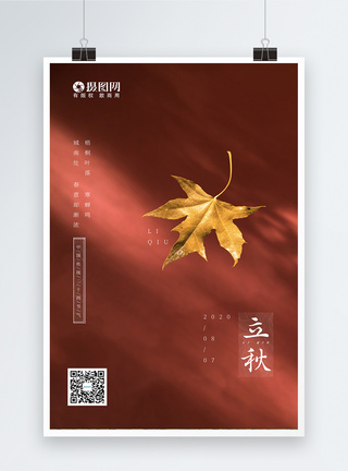 光影互动立秋红色枫叶海报设计模板