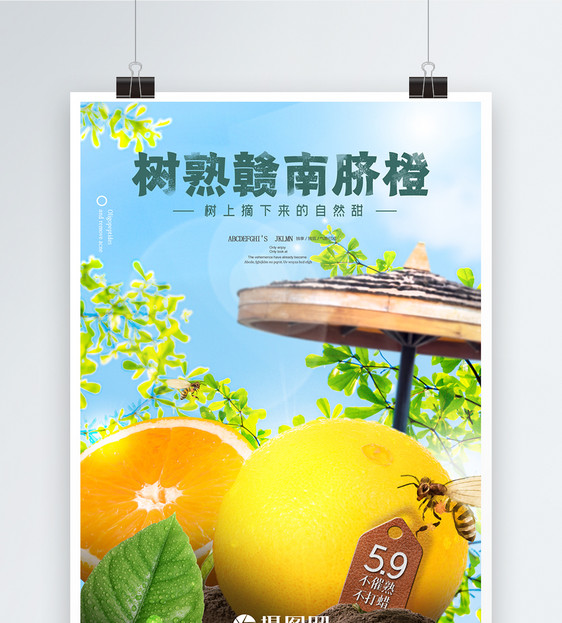 高端精致橙子助农水果海报图片