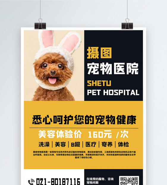 宠物店通用活动宣传海报图片