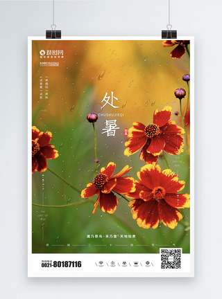 清新文艺微凉处暑节日海报图片
