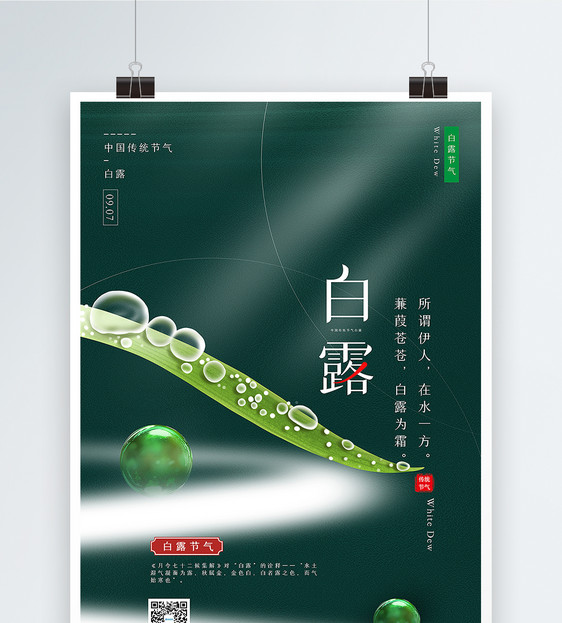 绿色简洁白露节气海报图片