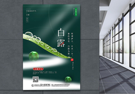 绿色简洁白露节气海报图片