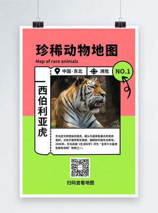 珍稀濒危保护动物图鉴环保公益科普宣传海报图片