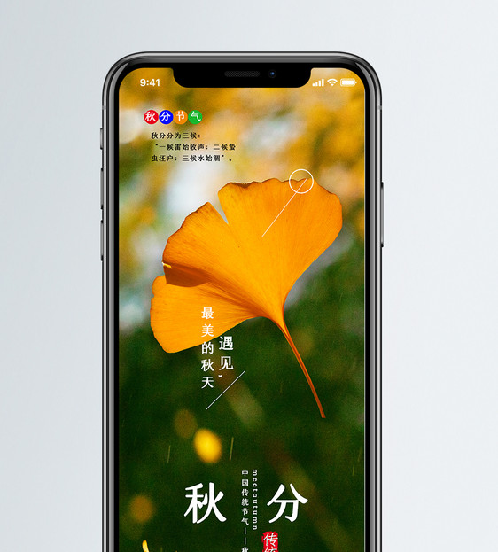 秋分节气手机海报配图图片