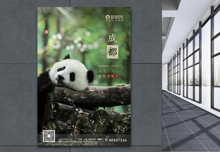 清新简约成都熊猫旅游海报图片