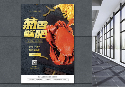 蟹图片 蟹图片大全 蟹背景图片 蟹图片 蟹图片大全 蟹背景图片