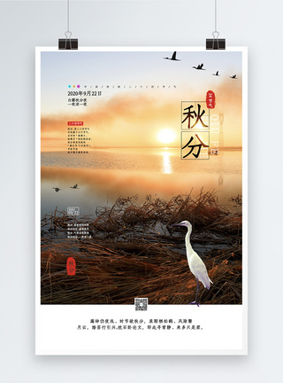 中国传统二十四节气之秋分海报图片