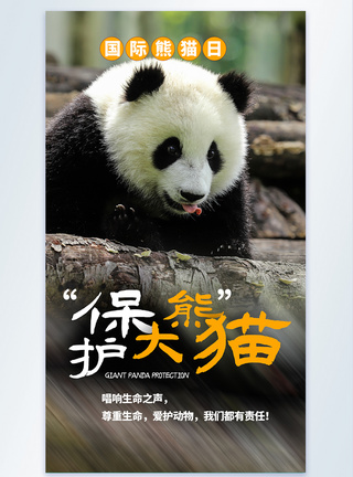 保护大熊猫摄影图海报设计图片