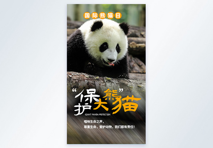 保护大熊猫摄影图海报设计高清图片