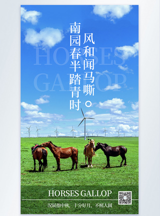 草原牧羊蓝天白云骏马旅游摄影海报模板