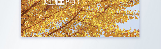 摄影主题秋季海报图片