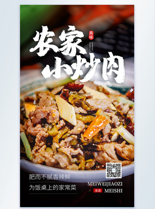 美食农家小炒肉摄影图海报图片