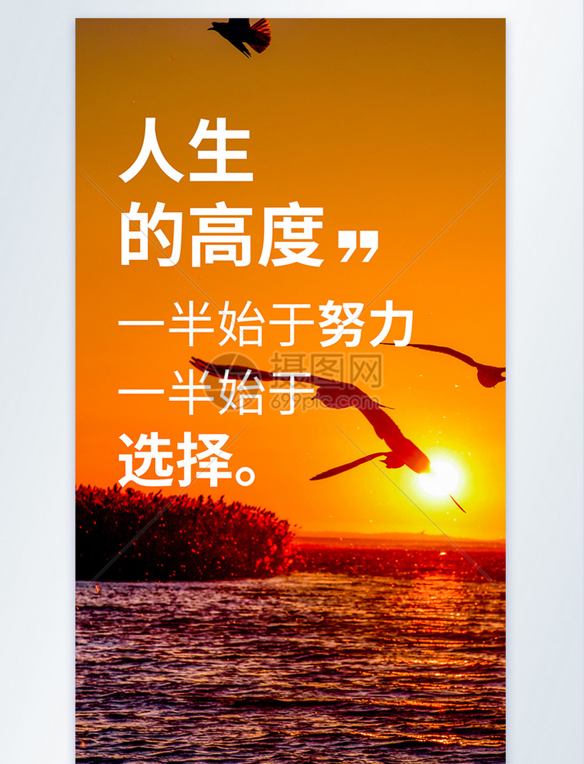 人生的高度正能量摄影图海报模板素材-正版图片401800729-摄图网