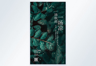 绿叶植物摄影寒露海报设计图片