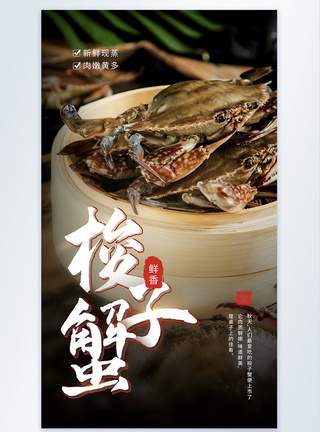 美味梭子蟹促销摄影图海报图片