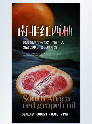 红心西柚水果摄影海报设计图片