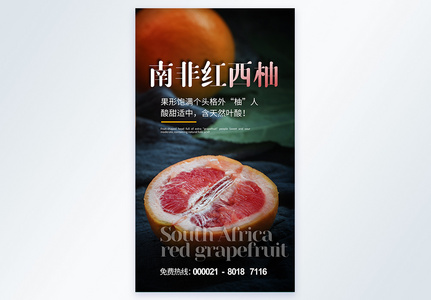 红心西柚水果摄影海报设计图片