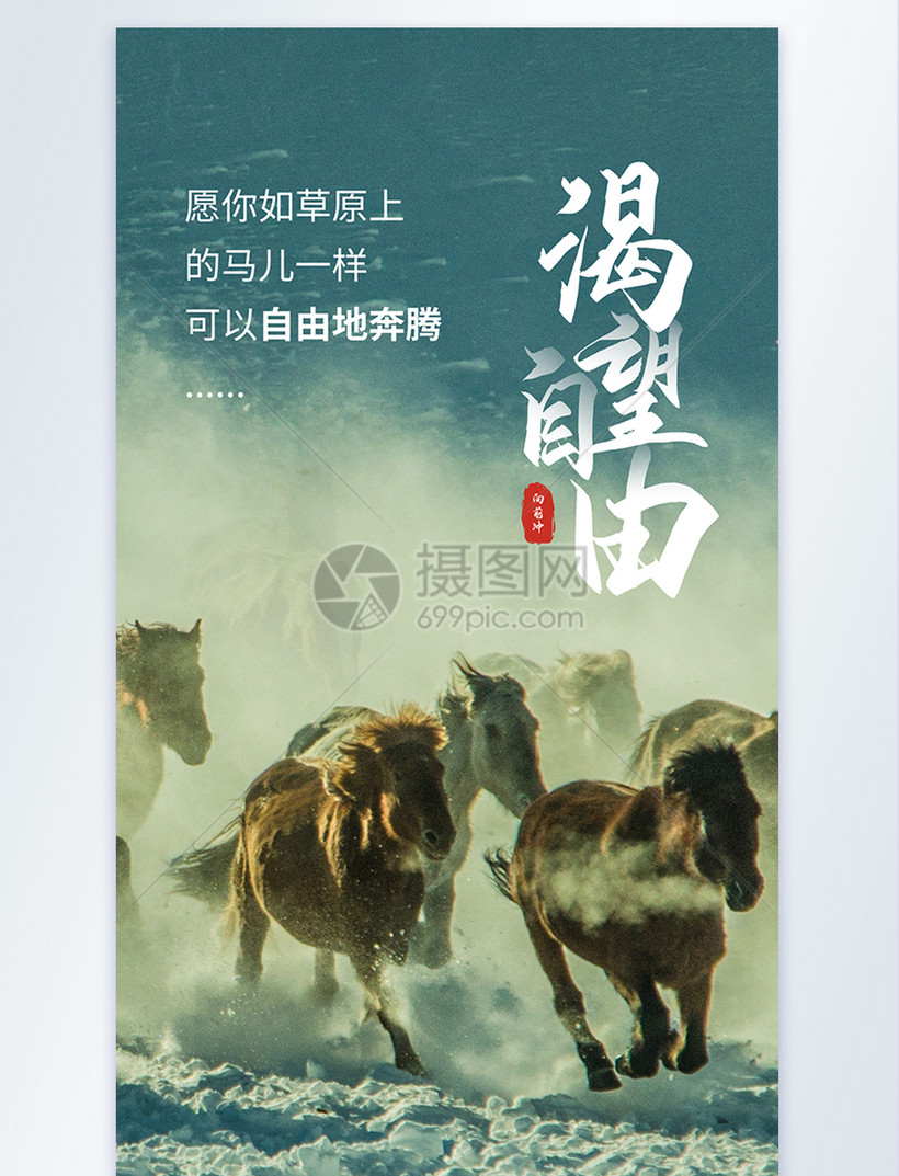 励志暖心之渴望自由摄影图海报