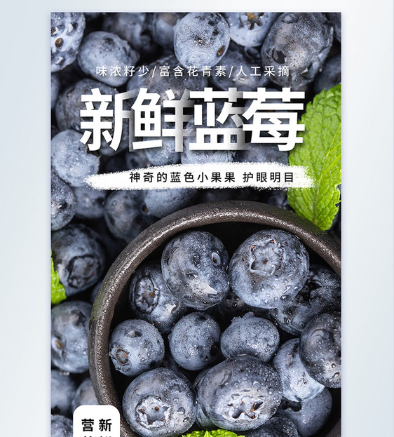 新鲜蓝莓水果摄影图海报图片