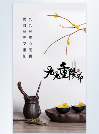 重阳节安康菊花摄影图海报图片