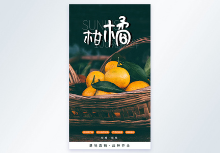 柑橘水果摄影图宣传海报图片