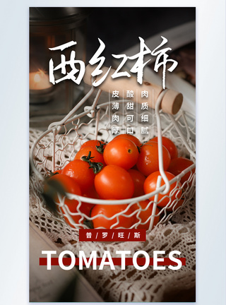 普罗旺斯小西红柿摄影图海报图片