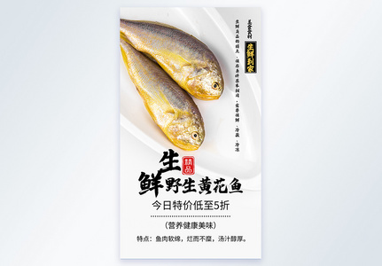 生鲜黄花鱼冷冻食材摄影海报图片