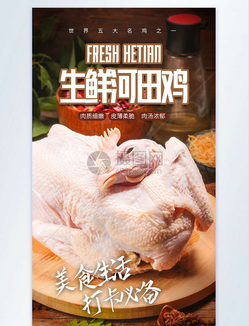 新鲜食材河田鸡摄影图海报