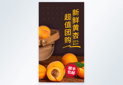 新鲜黄杏超值团购促销摄影图海报高清图片