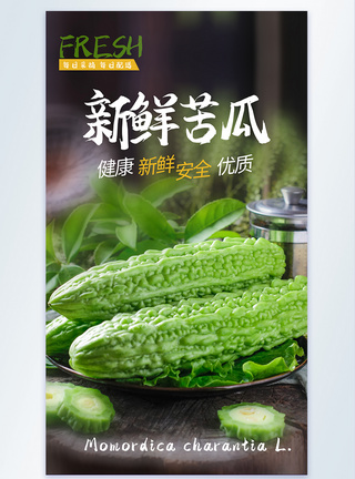 新鲜苦瓜蔬菜摄影海报图片