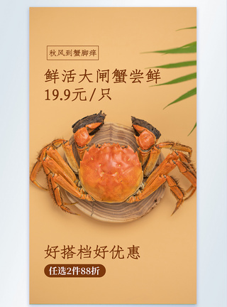 蟹礼螃蟹美食摄影图海报大闸蟹美食摄影图海报模板