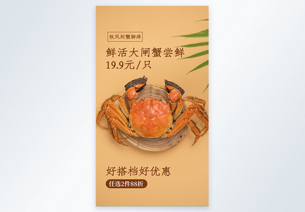 大闸蟹美食摄影图海报图片