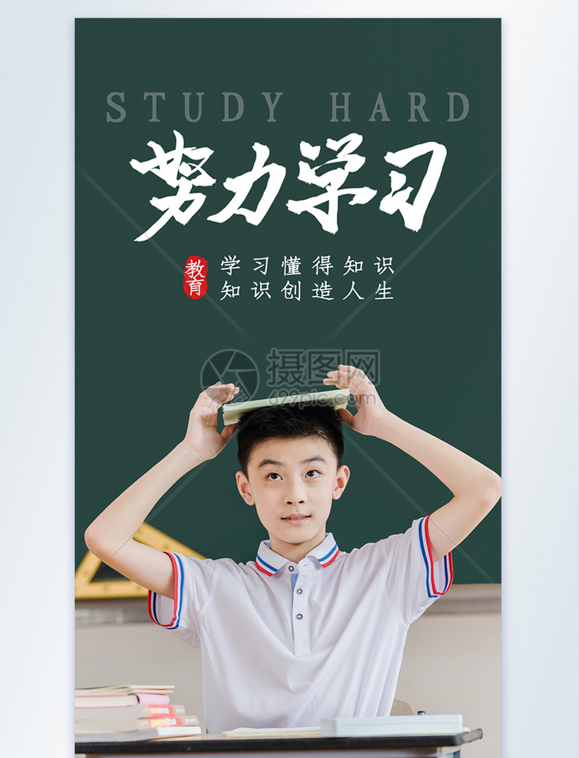 努力学习摄影图海报