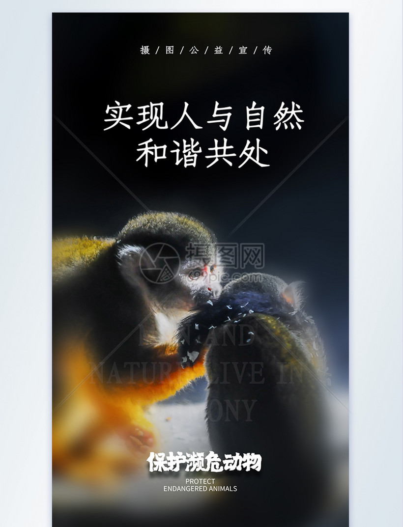 实现人与自然和谐共处摄影图海报