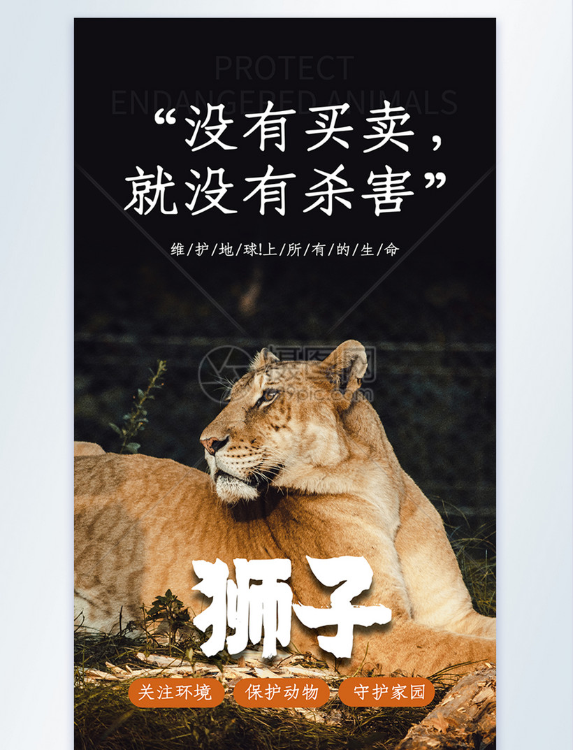 没有买卖就没有杀害摄影图海报