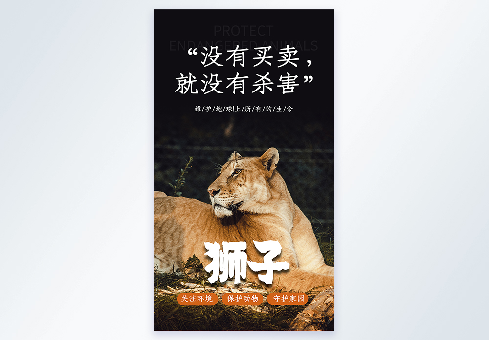 非洲冥想没有买卖, 就没有杀害摄影图海报模板