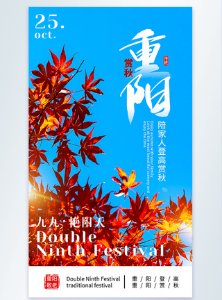 重阳节赏秋摄影图海报图片