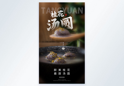 桂花汤圆美食摄影图海报图片