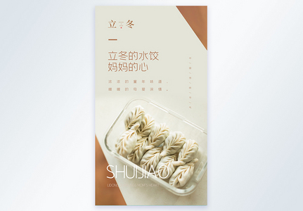 立冬的水饺 妈妈的心美食摄影图海报图片