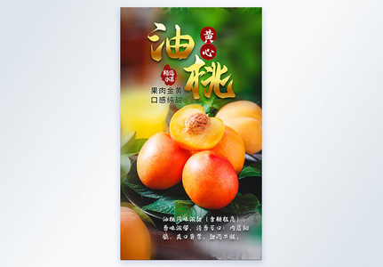 黄心油桃新鲜水果摄影海报图片