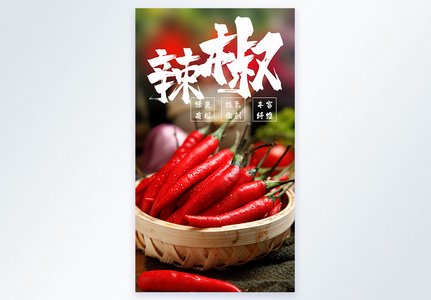 辣椒食材蔬菜摄影海报图片