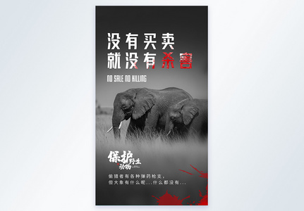 保护野生动物大象摄影图海报图片