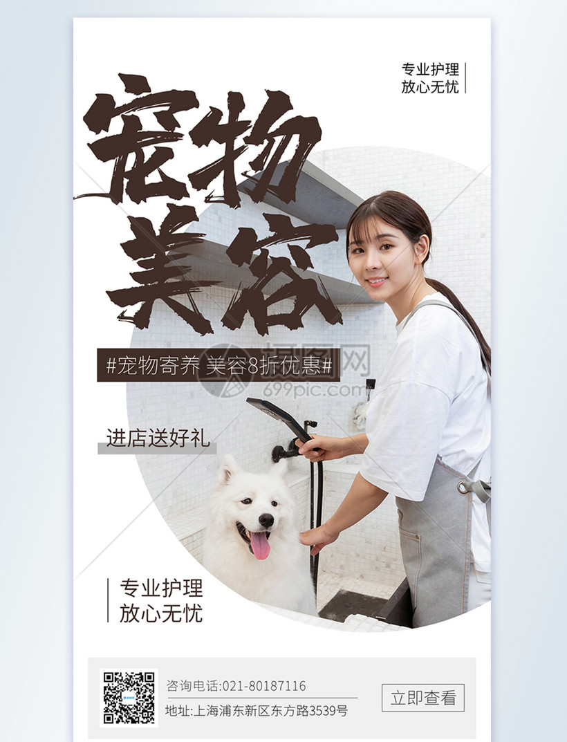 宠物美容摄影图海报