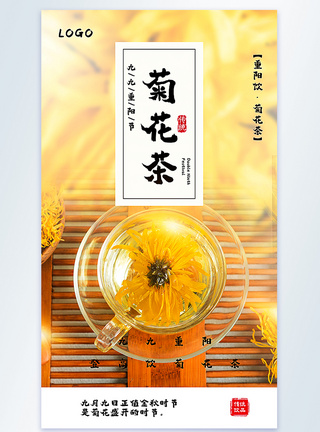 重阳饮品菊花茶摄影图海报图片