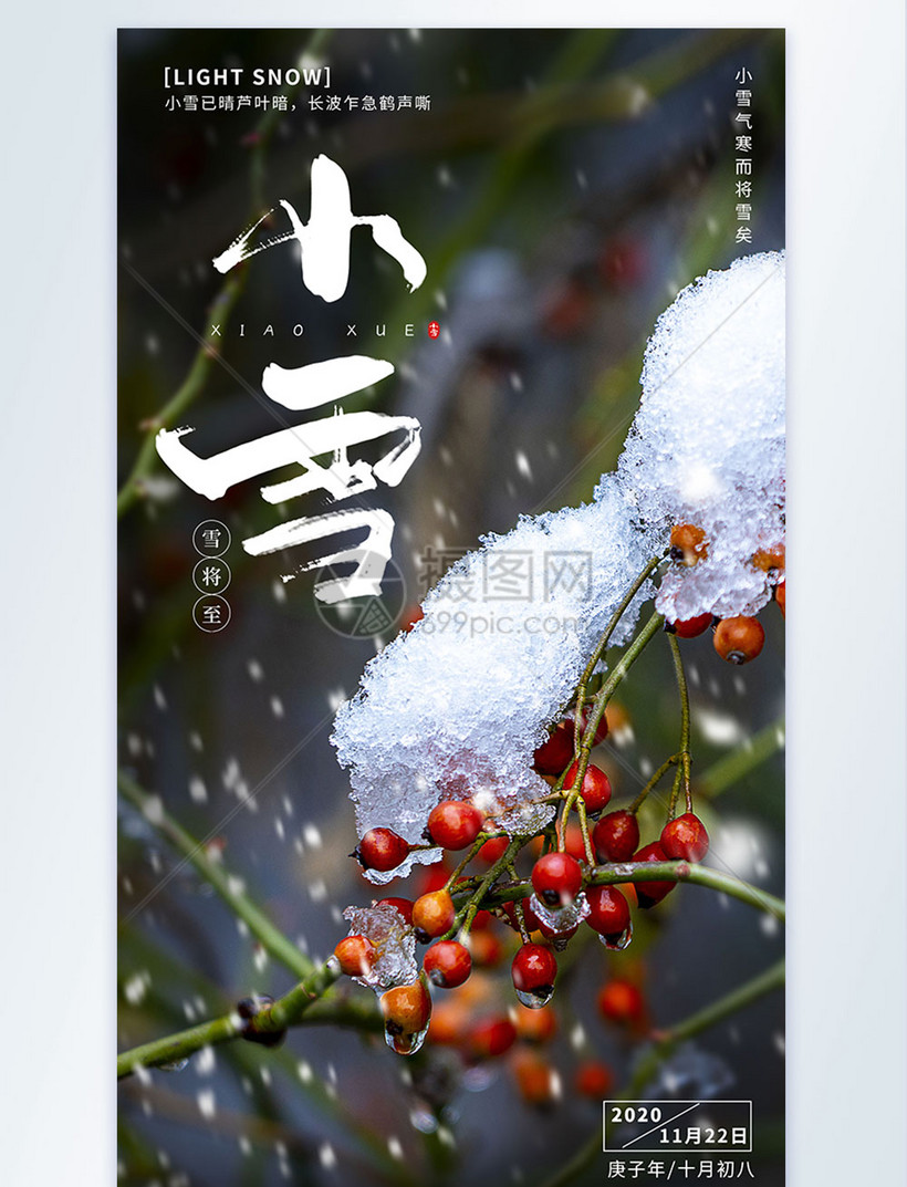二十四节气之小雪摄影图海报设计模板素材 正版图片 摄图网