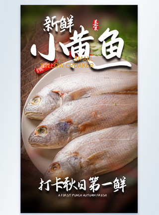 新鲜小黄鱼摄影图海报图片