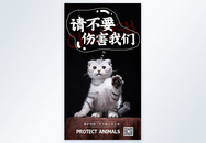 保护动物公益摄影图海报设计图片