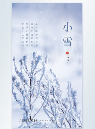 小雪节气摄影图海报图片