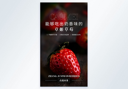 章姬草莓美食摄影图海报高清图片