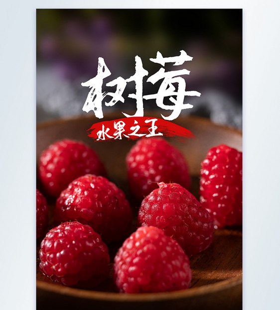 树莓水果之王美食摄影图海报图片